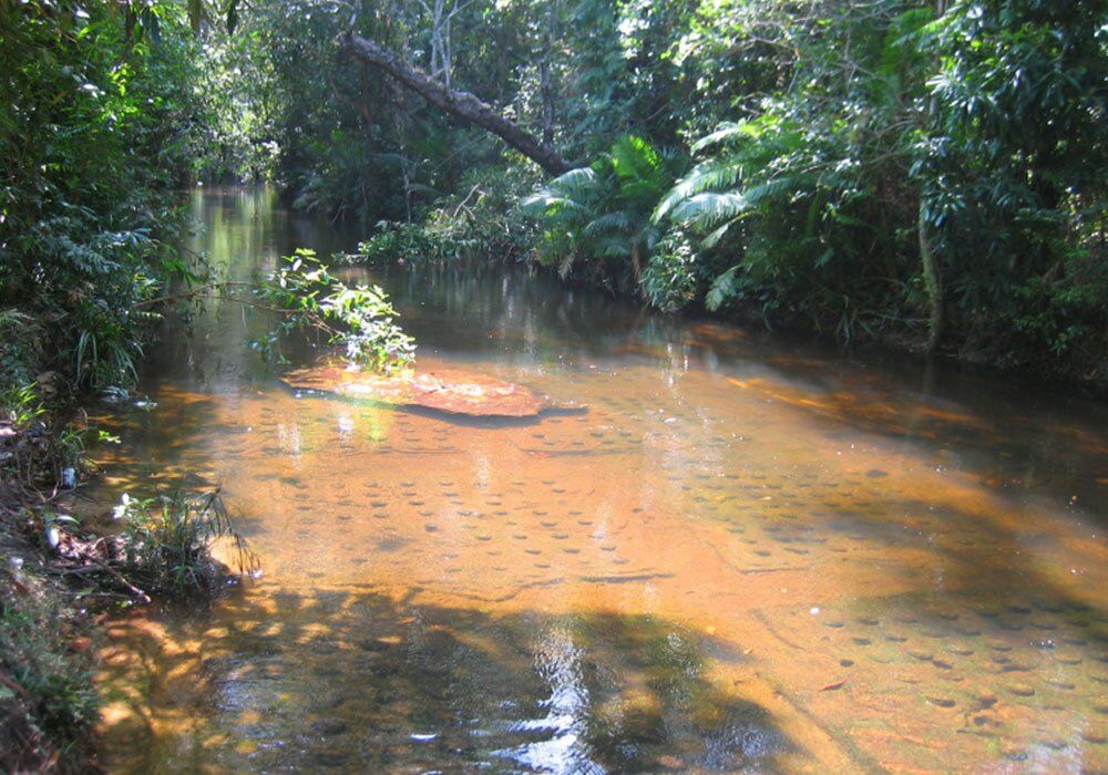 Immerse in Phnom Kulen’s historical legacy